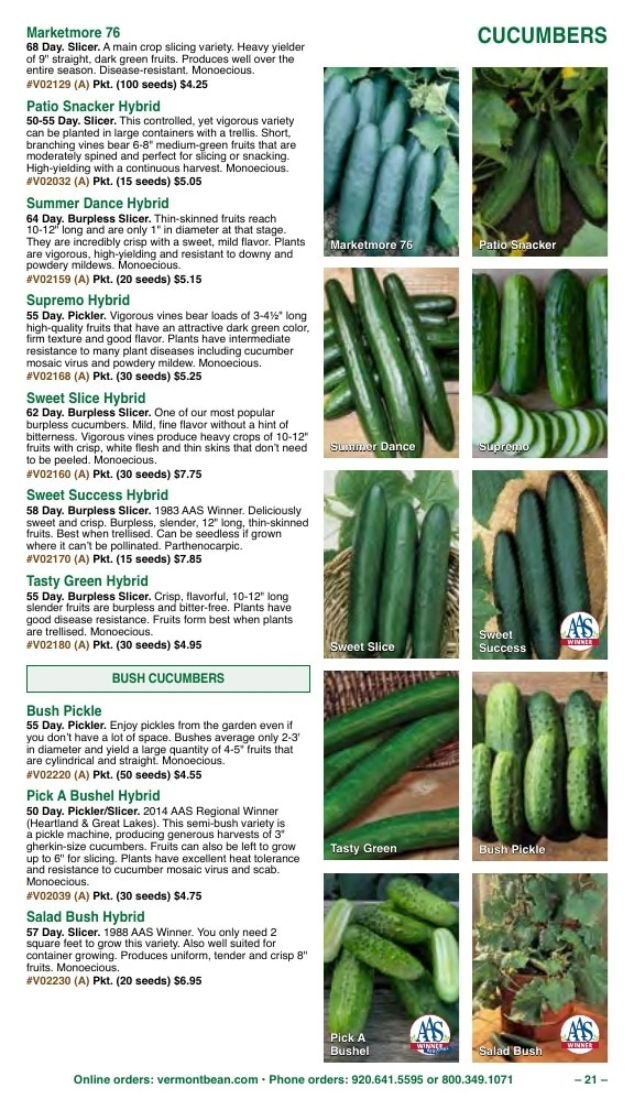 Vermont Bean flyer page 21