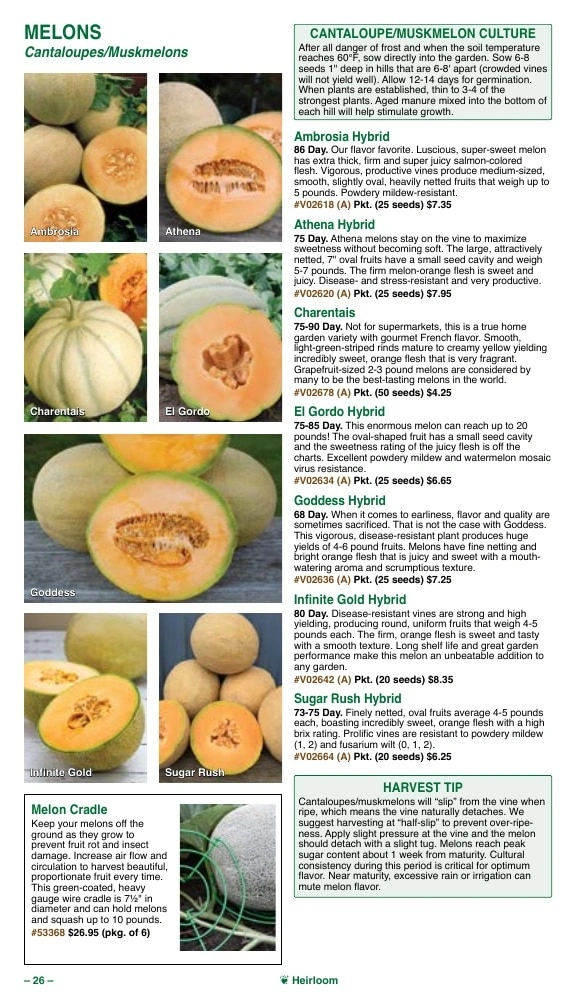 Vermont Bean flyer page 26