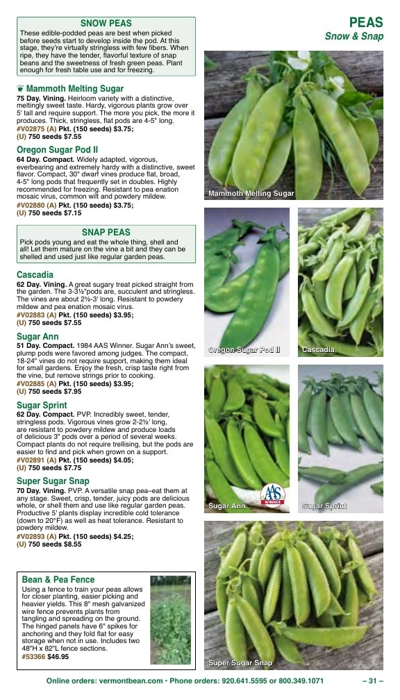 Vermont Bean flyer page 31
