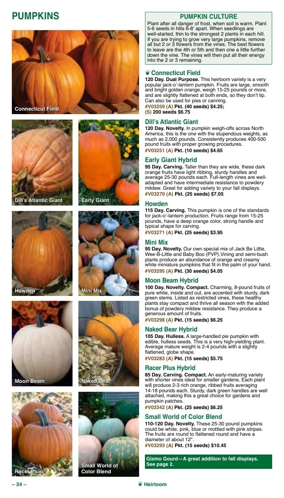 Vermont Bean flyer page 34