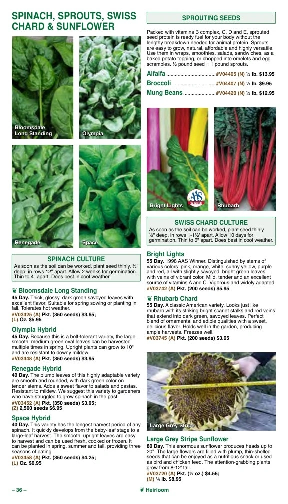 Vermont Bean flyer page 36