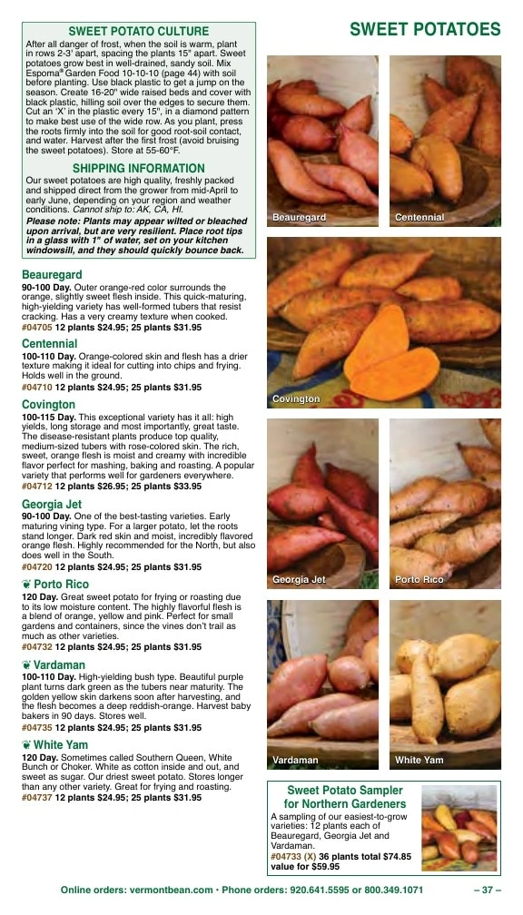 Vermont Bean flyer page 37