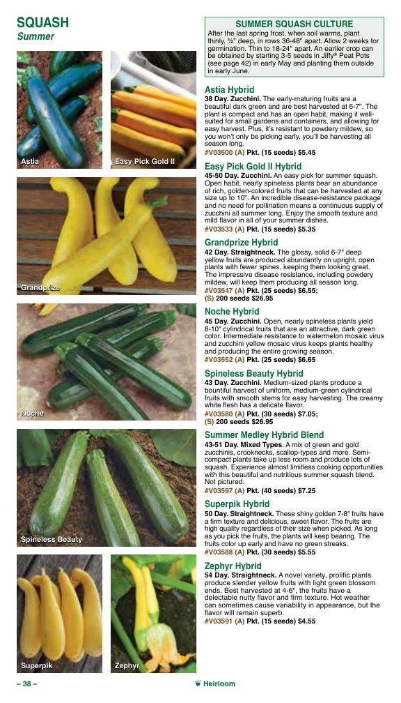 Vermont Bean flyer page 38