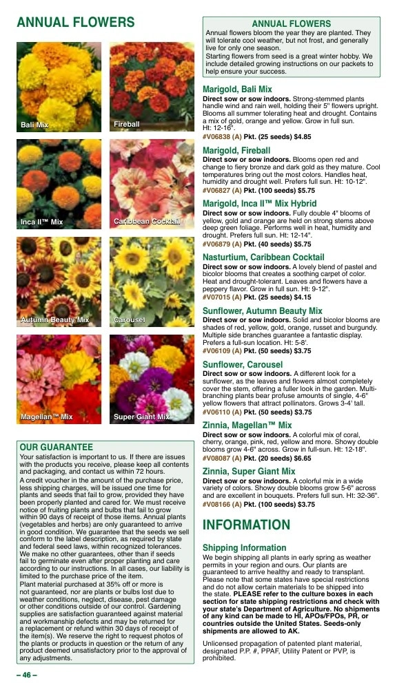 Vermont Bean flyer page 46