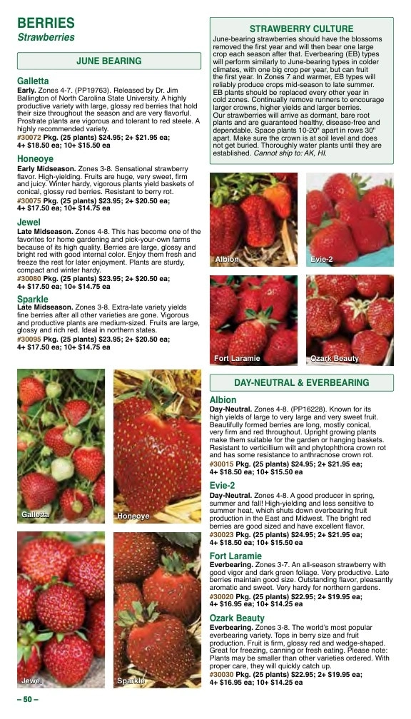 Vermont Bean flyer page 50