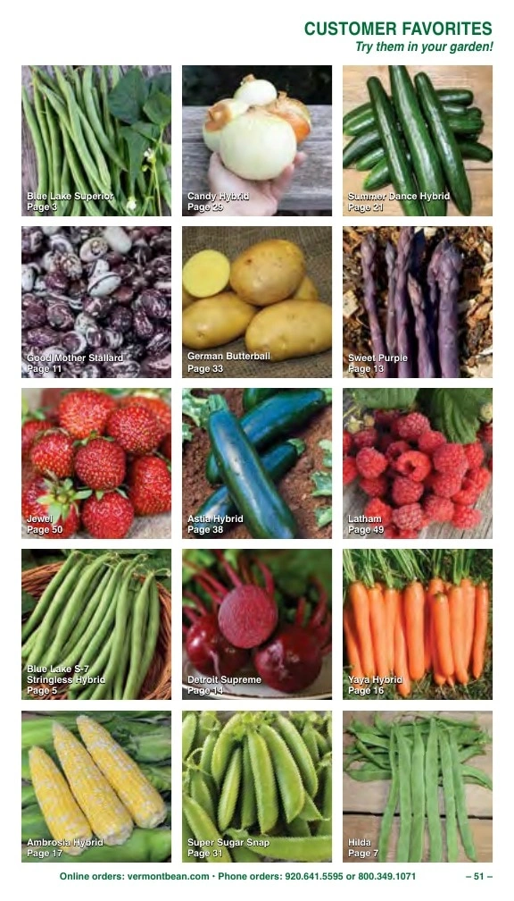 Vermont Bean flyer page 51